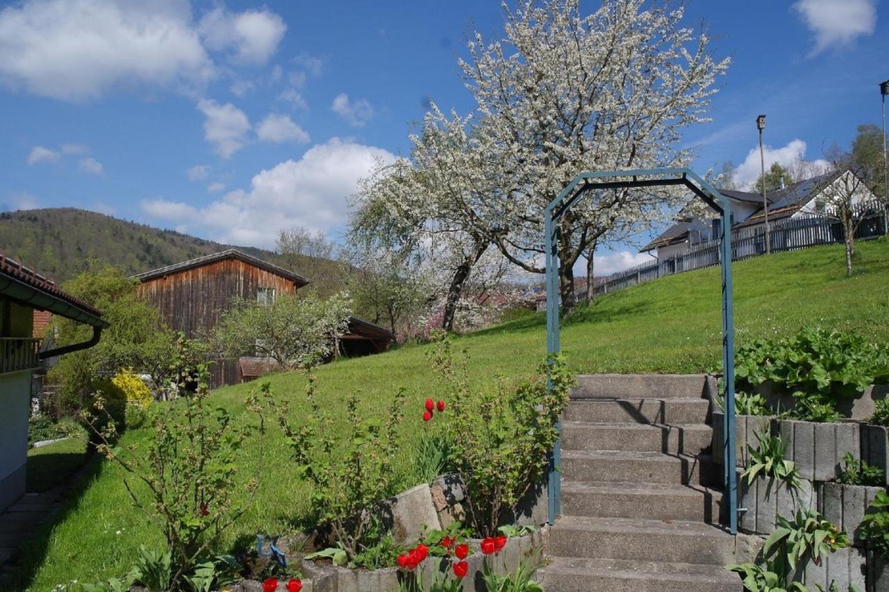 Ferienhaus Bayerwald Ringelai 外观 照片
