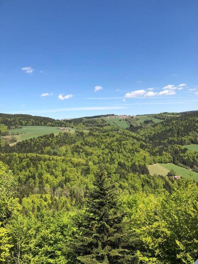 Ferienhaus Bayerwald Ringelai 外观 照片